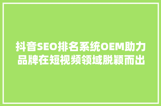 抖音SEO排名系统OEM助力品牌在短视频领域脱颖而出