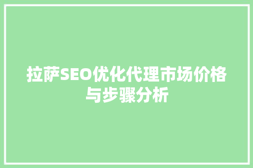 拉萨SEO优化代理市场价格与步骤分析