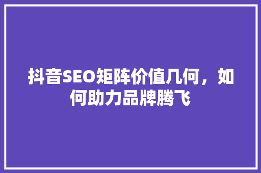 抖音SEO矩阵价值几何，如何助力品牌腾飞