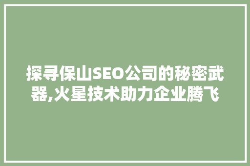 探寻保山SEO公司的秘密武器,火星技术助力企业腾飞