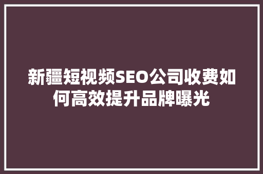 新疆短视频SEO公司收费如何高效提升品牌曝光