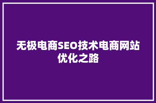无极电商SEO技术电商网站优化之路