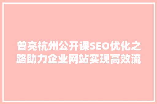 曾亮杭州公开课SEO优化之路助力企业网站实现高效流量转化