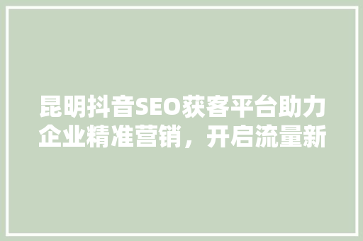 昆明抖音SEO获客平台助力企业精准营销，开启流量新时代