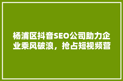 杨浦区抖音SEO公司助力企业乘风破浪，抢占短视频营销制高点