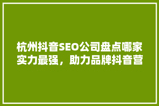 杭州抖音SEO公司盘点哪家实力最强，助力品牌抖音营销