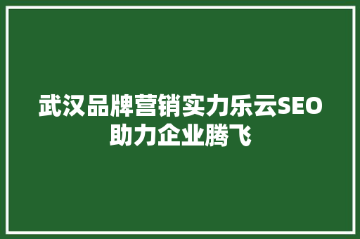 武汉品牌营销实力乐云SEO助力企业腾飞