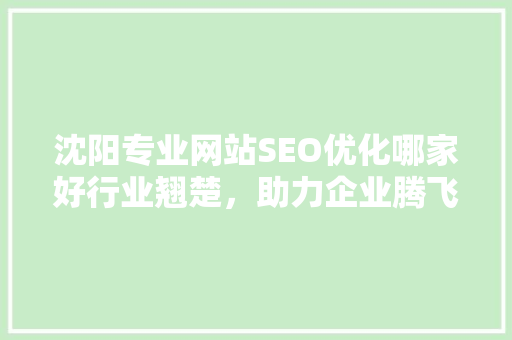 沈阳专业网站SEO优化哪家好行业翘楚，助力企业腾飞