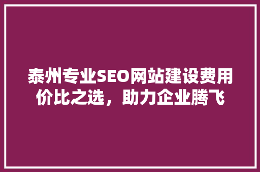 泰州专业SEO网站建设费用价比之选，助力企业腾飞