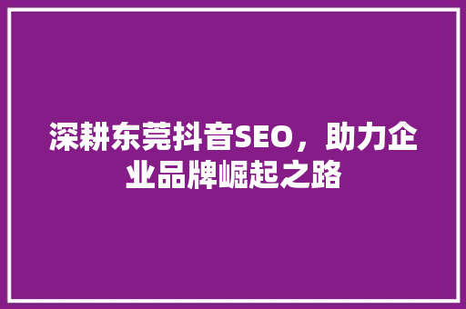 深耕东莞抖音SEO，助力企业品牌崛起之路
