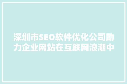 深圳市SEO软件优化公司助力企业网站在互联网浪潮中乘风破浪