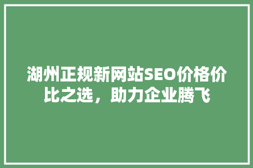 湖州正规新网站SEO价格价比之选，助力企业腾飞