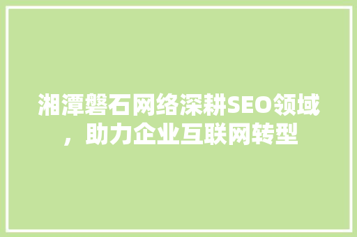 湘潭磐石网络深耕SEO领域，助力企业互联网转型