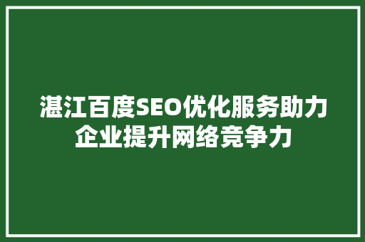 湛江百度SEO优化服务助力企业提升网络竞争力