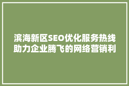 滨海新区SEO优化服务热线助力企业腾飞的网络营销利器