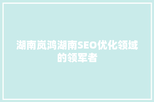 湖南岚鸿湖南SEO优化领域的领军者
