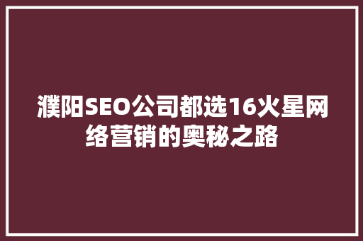 濮阳SEO公司都选16火星网络营销的奥秘之路