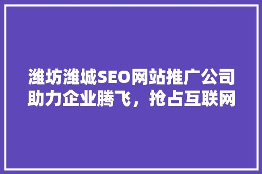 潍坊潍城SEO网站推广公司助力企业腾飞，抢占互联网市场先机