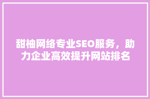 甜柚网络专业SEO服务，助力企业高效提升网站排名