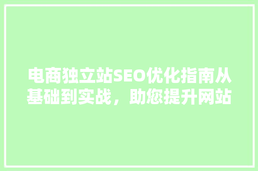 电商独立站SEO优化指南从基础到实战，助您提升网站排名