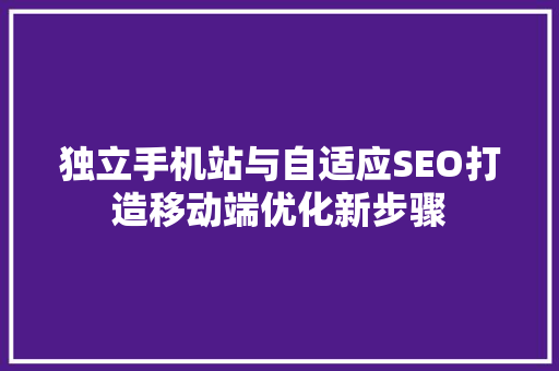 独立手机站与自适应SEO打造移动端优化新步骤