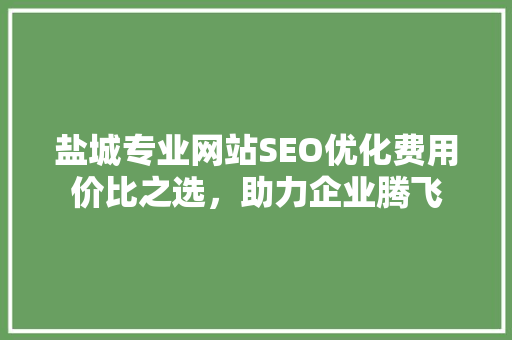 盐城专业网站SEO优化费用价比之选，助力企业腾飞