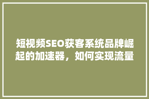 短视频SEO获客系统品牌崛起的加速器，如何实现流量变现新纪元