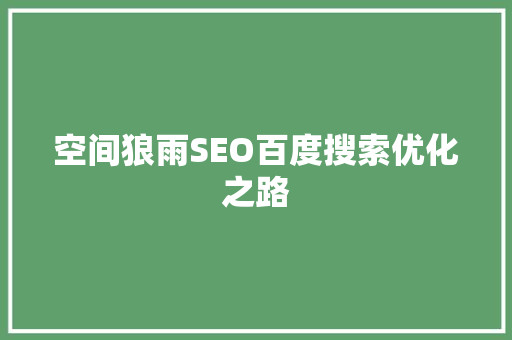 空间狼雨SEO百度搜索优化之路