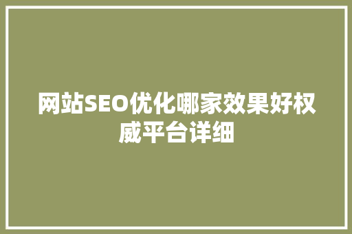 网站SEO优化哪家效果好权威平台详细