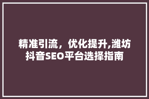 精准引流，优化提升,潍坊抖音SEO平台选择指南