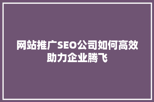 网站推广SEO公司如何高效助力企业腾飞