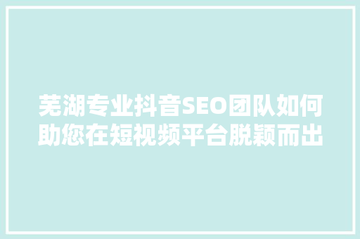 芜湖专业抖音SEO团队如何助您在短视频平台脱颖而出