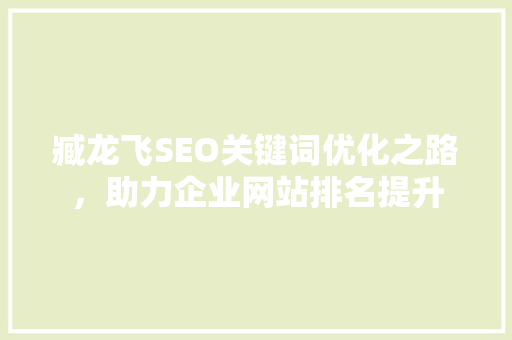臧龙飞SEO关键词优化之路，助力企业网站排名提升