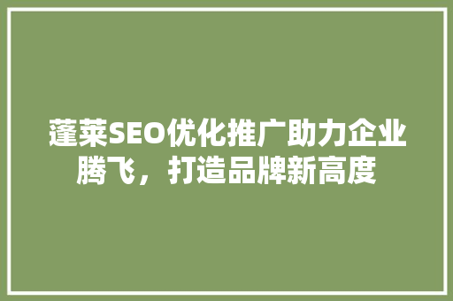 蓬莱SEO优化推广助力企业腾飞，打造品牌新高度