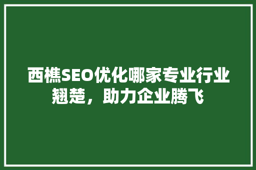 西樵SEO优化哪家专业行业翘楚，助力企业腾飞