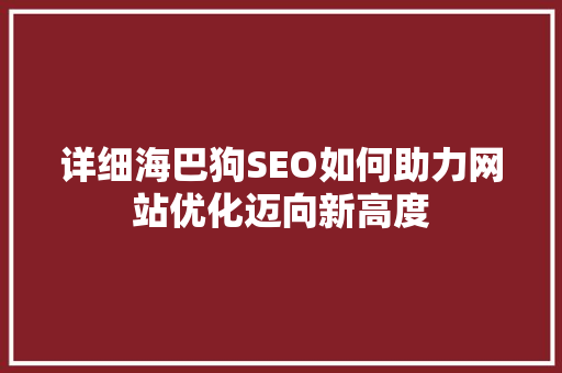 详细海巴狗SEO如何助力网站优化迈向新高度