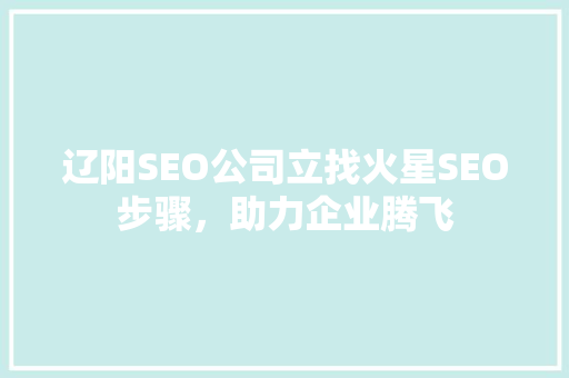 辽阳SEO公司立找火星SEO步骤，助力企业腾飞