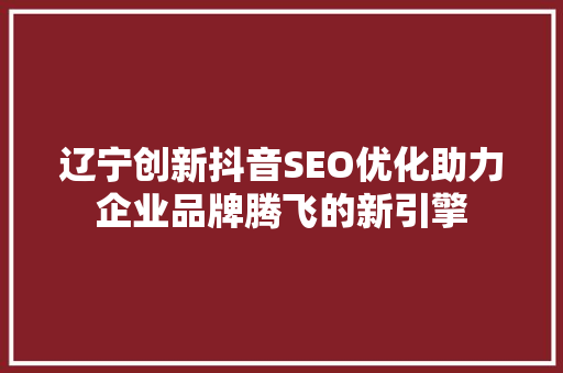 辽宁创新抖音SEO优化助力企业品牌腾飞的新引擎