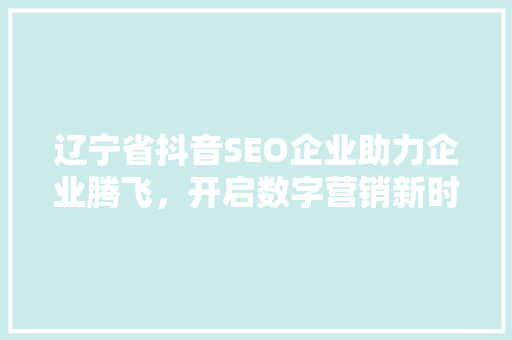 辽宁省抖音SEO企业助力企业腾飞，开启数字营销新时代