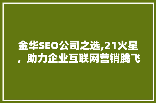金华SEO公司之选,21火星，助力企业互联网营销腾飞