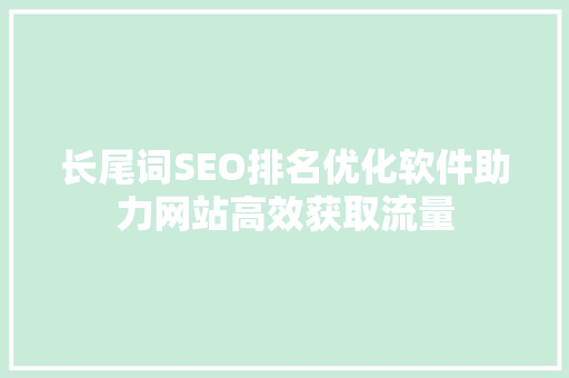 长尾词SEO排名优化软件助力网站高效获取流量