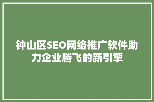 钟山区SEO网络推广软件助力企业腾飞的新引擎