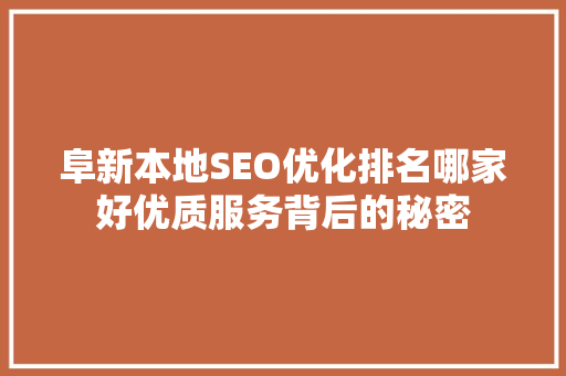 阜新本地SEO优化排名哪家好优质服务背后的秘密