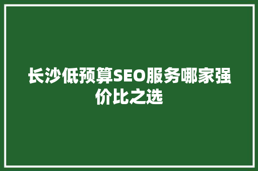 长沙低预算SEO服务哪家强价比之选