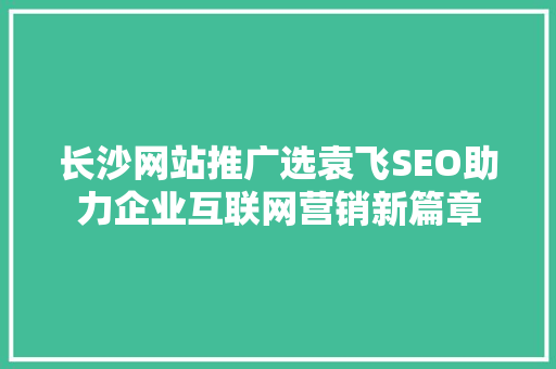长沙网站推广选袁飞SEO助力企业互联网营销新篇章