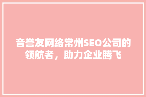 音誉友网络常州SEO公司的领航者，助力企业腾飞