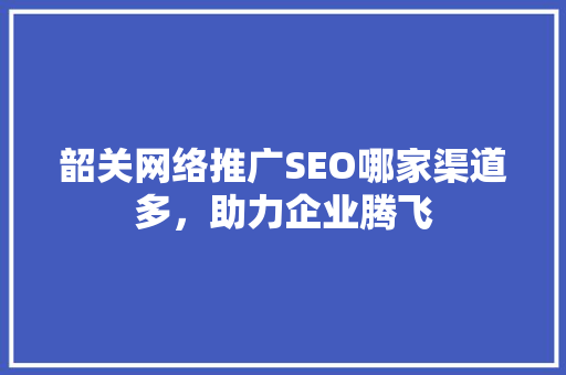 韶关网络推广SEO哪家渠道多，助力企业腾飞