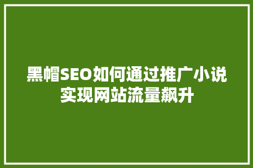 黑帽SEO如何通过推广小说实现网站流量飙升