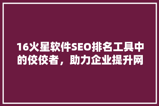 16火星软件SEO排名工具中的佼佼者，助力企业提升网站流量