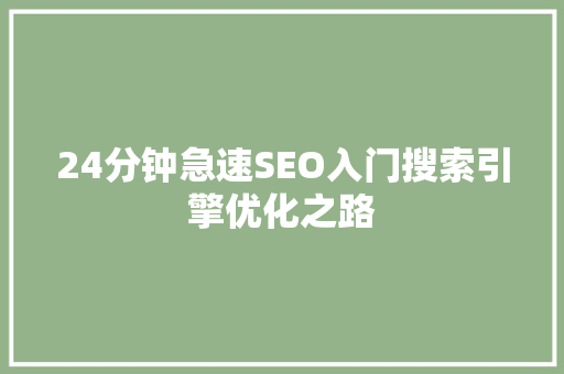 24分钟急速SEO入门搜索引擎优化之路